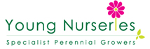 Young Nurseries